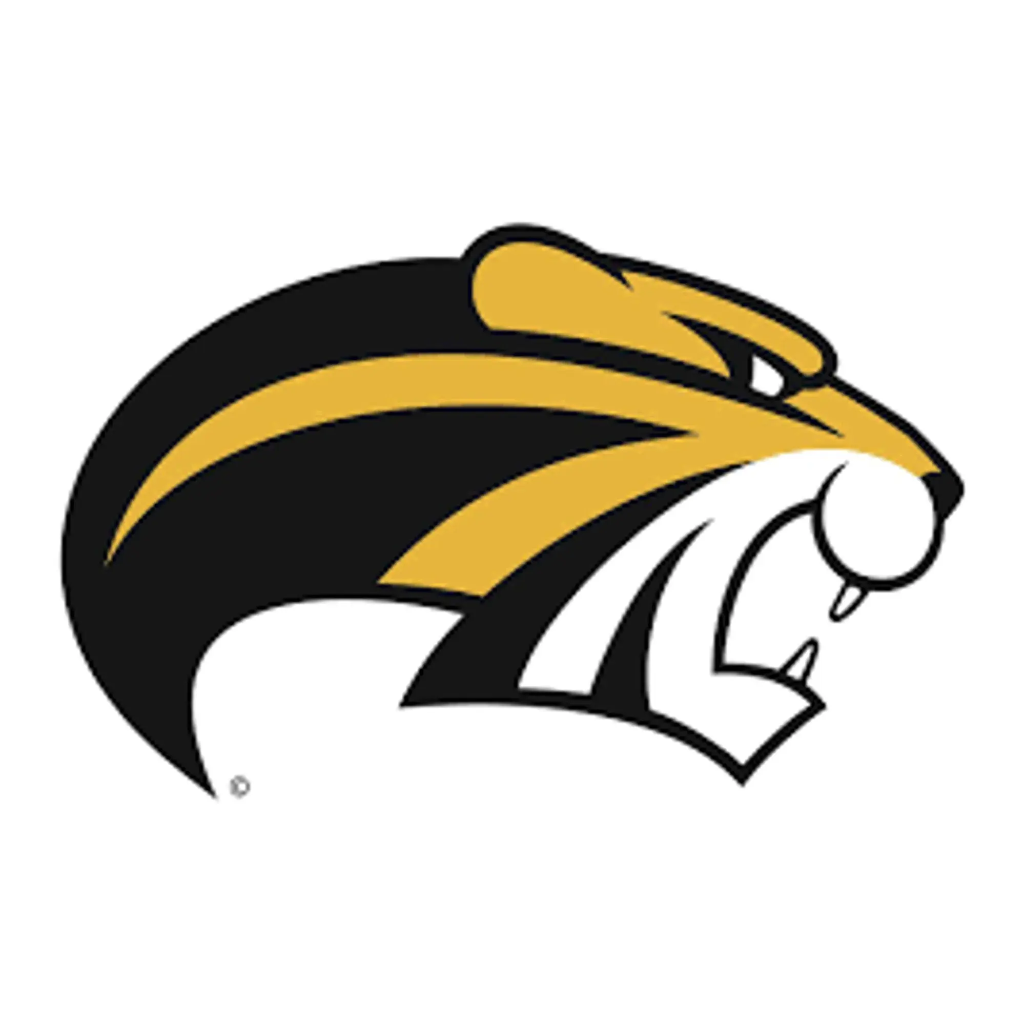 Brenau Golden Tigers Promo Code