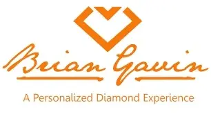 Brian Gavin Promo Code
