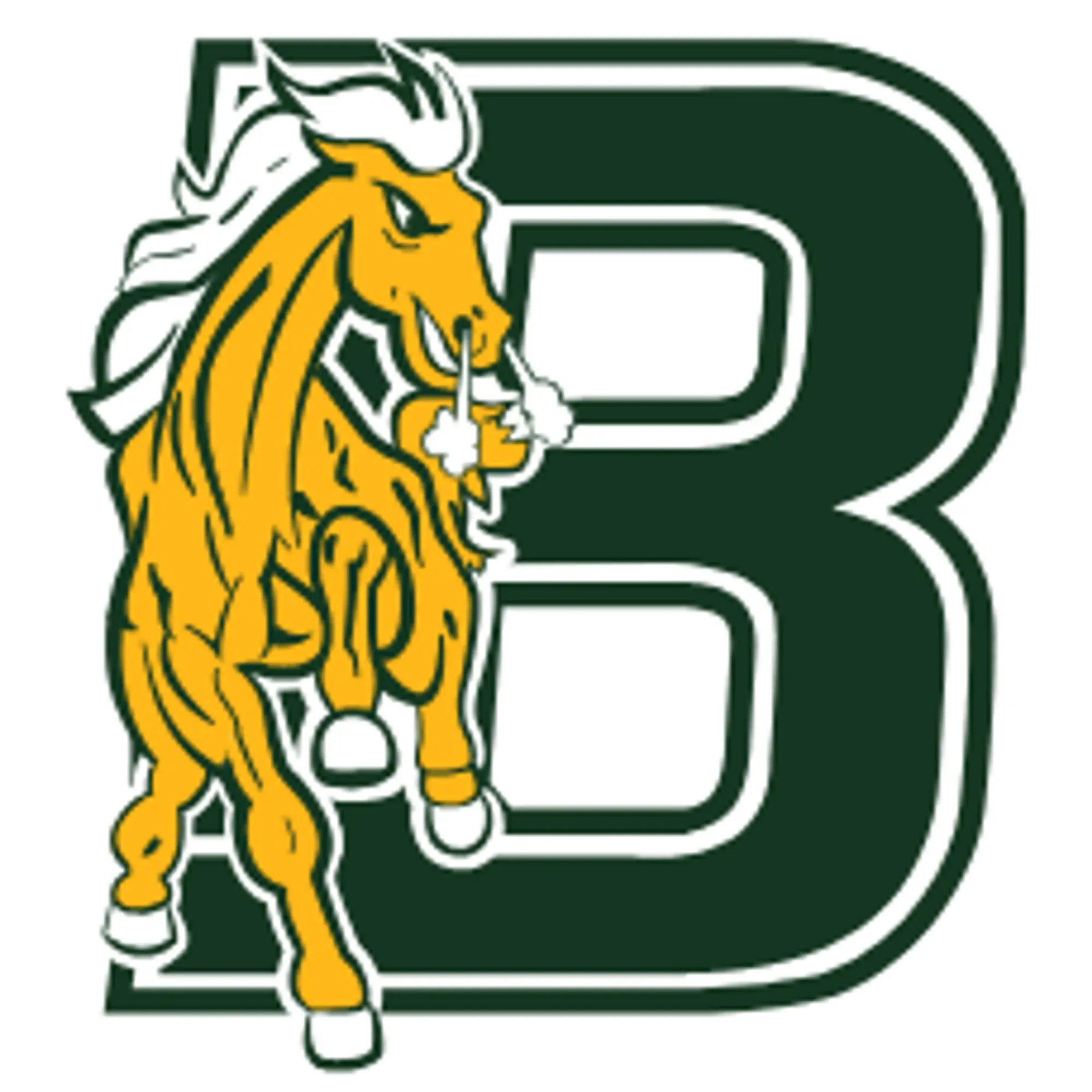 Bronx Community College Broncos Promo Code