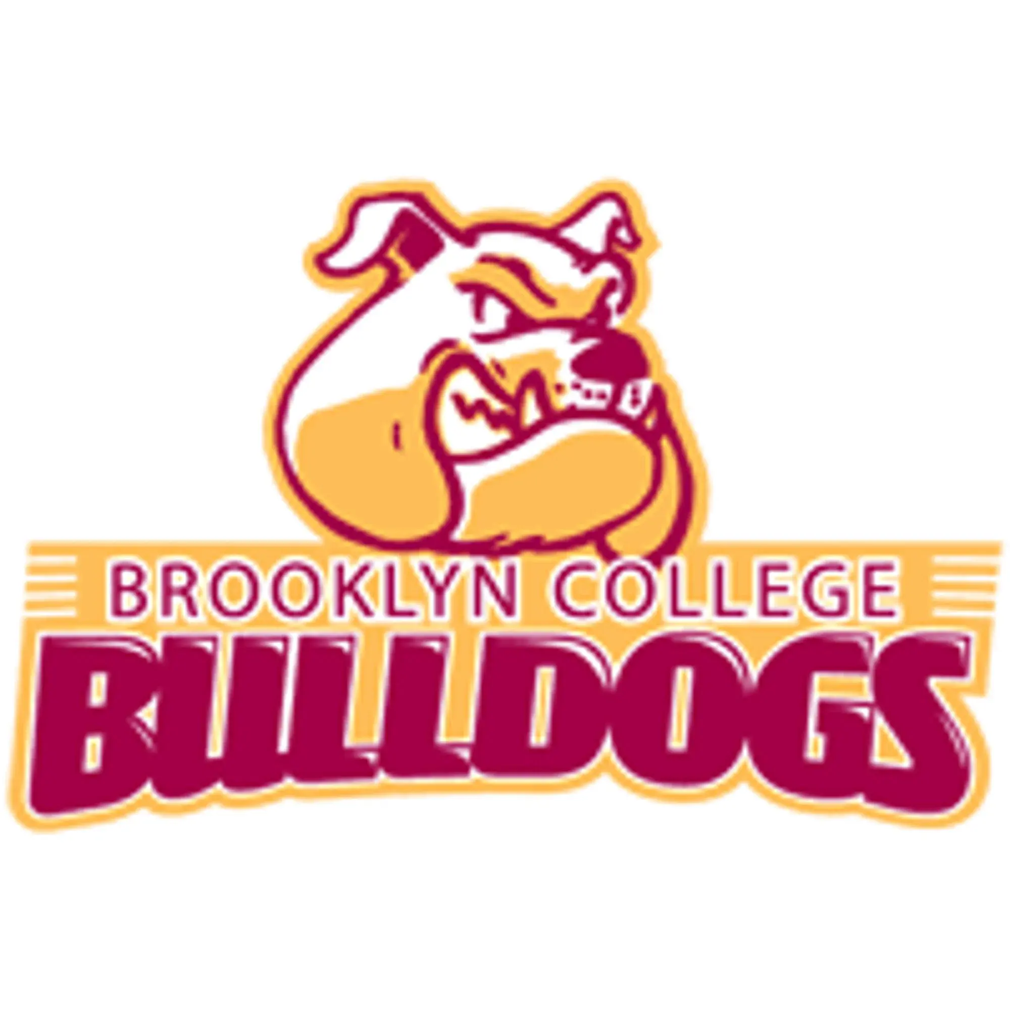 Brooklyn College Bulldogs Promo Code