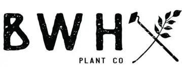 Bros with Hoes Plant Co. Promo Code