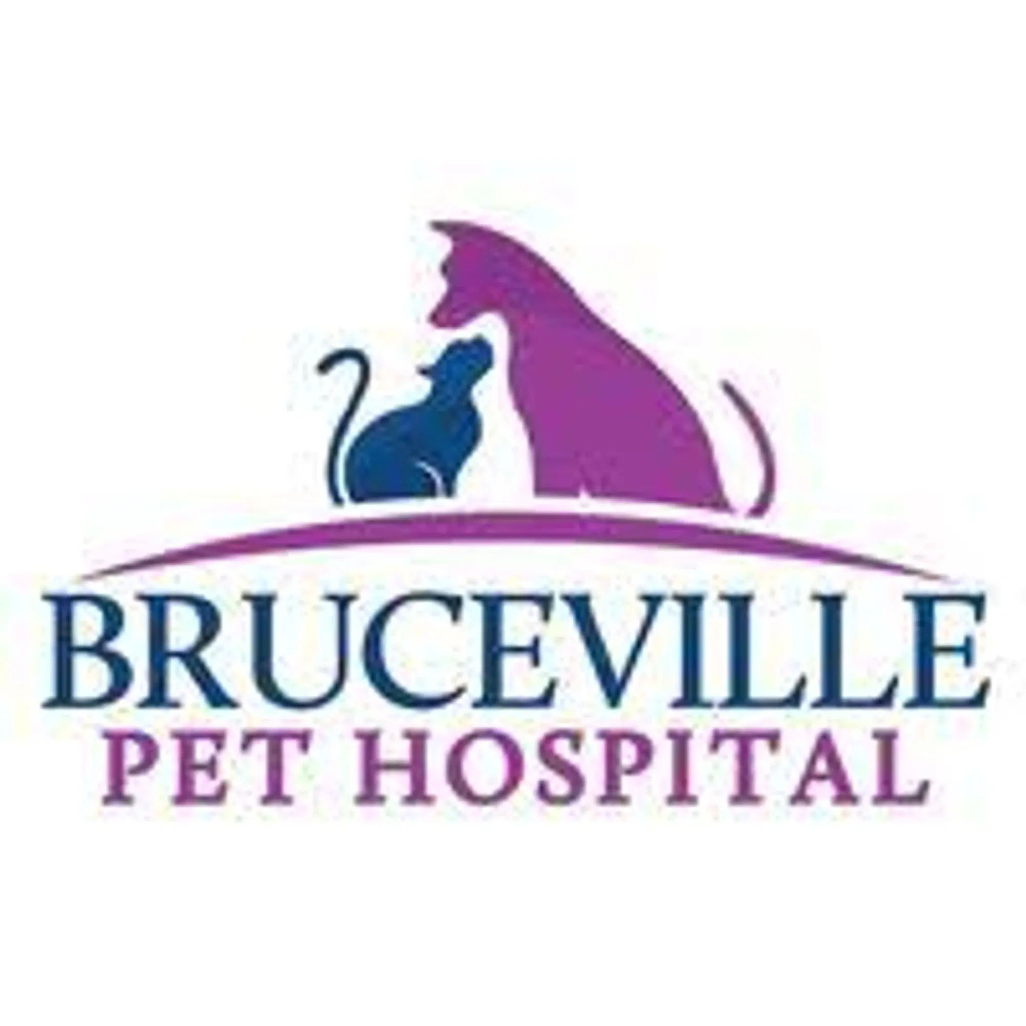 Bruceville Pet Hospital Promo Code