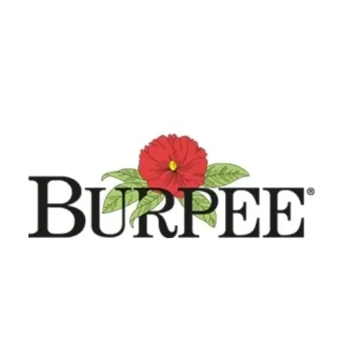 Burpee Promo Code