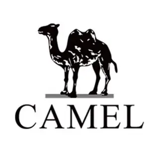 American Camel International Invest Enterprise LTD Promo Code