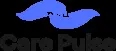 Caring Pulse Promo Code