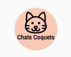 Chats Coquets Promo Code