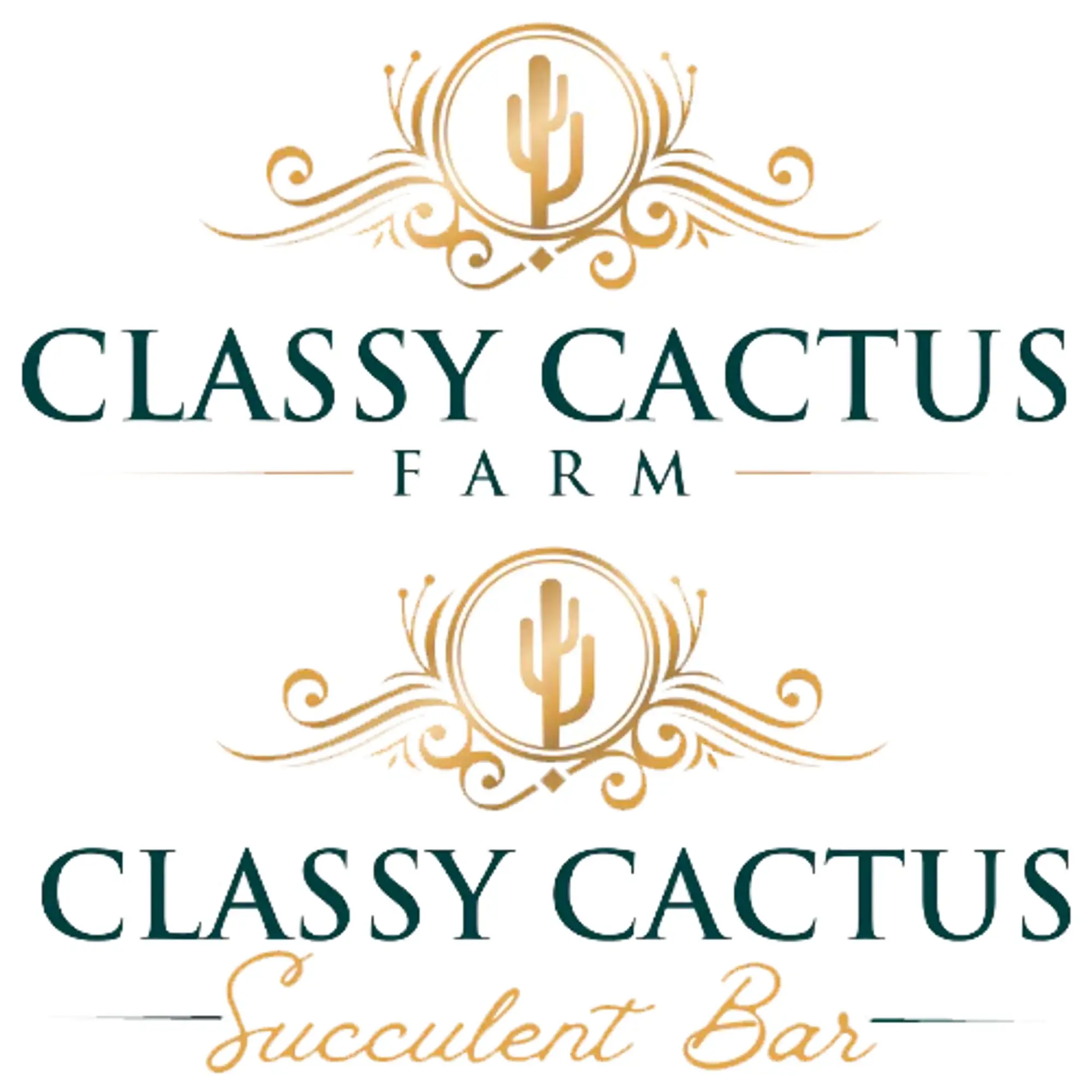 Classy Cactus Farm Promo Code