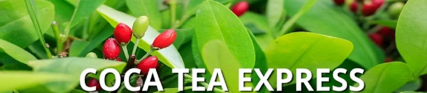 Coca Tea Express Promo Code