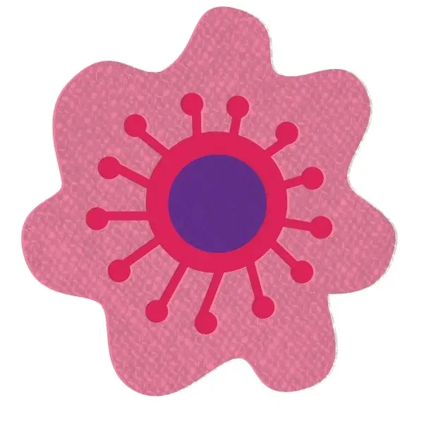 Coco Berry Kids Promo Code
