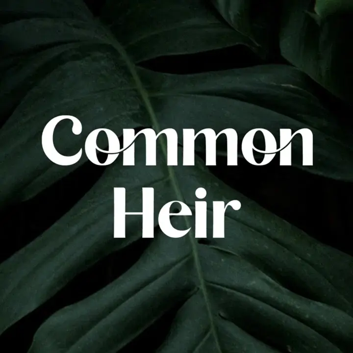 Common Heir Promo Code