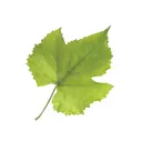 Compra-Vino ES Promo Code