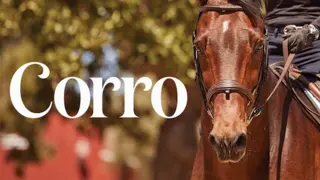 Corro Promo Code