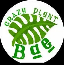 Crazy Plant Bae Promo Code