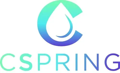 Cspring Promo Code