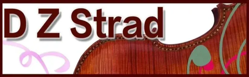 D Z Strad Promo Code