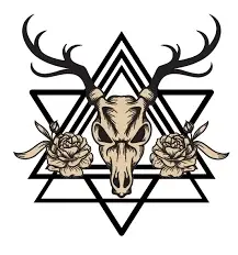 Dark Forest Tarot Cards Promo Code