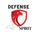 Defense Spirit Promo Code