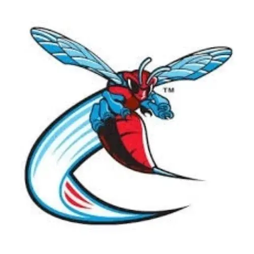 Delaware State University Promo Code