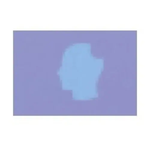 Delicious Brains Promo Code