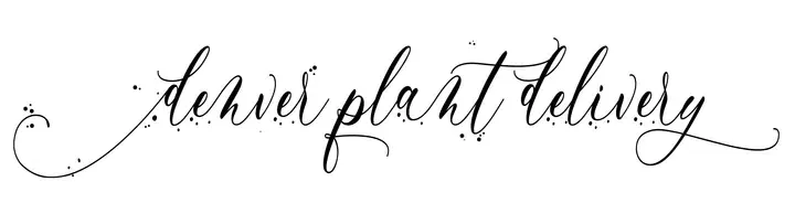 Denver Plant Delivery Promo Code