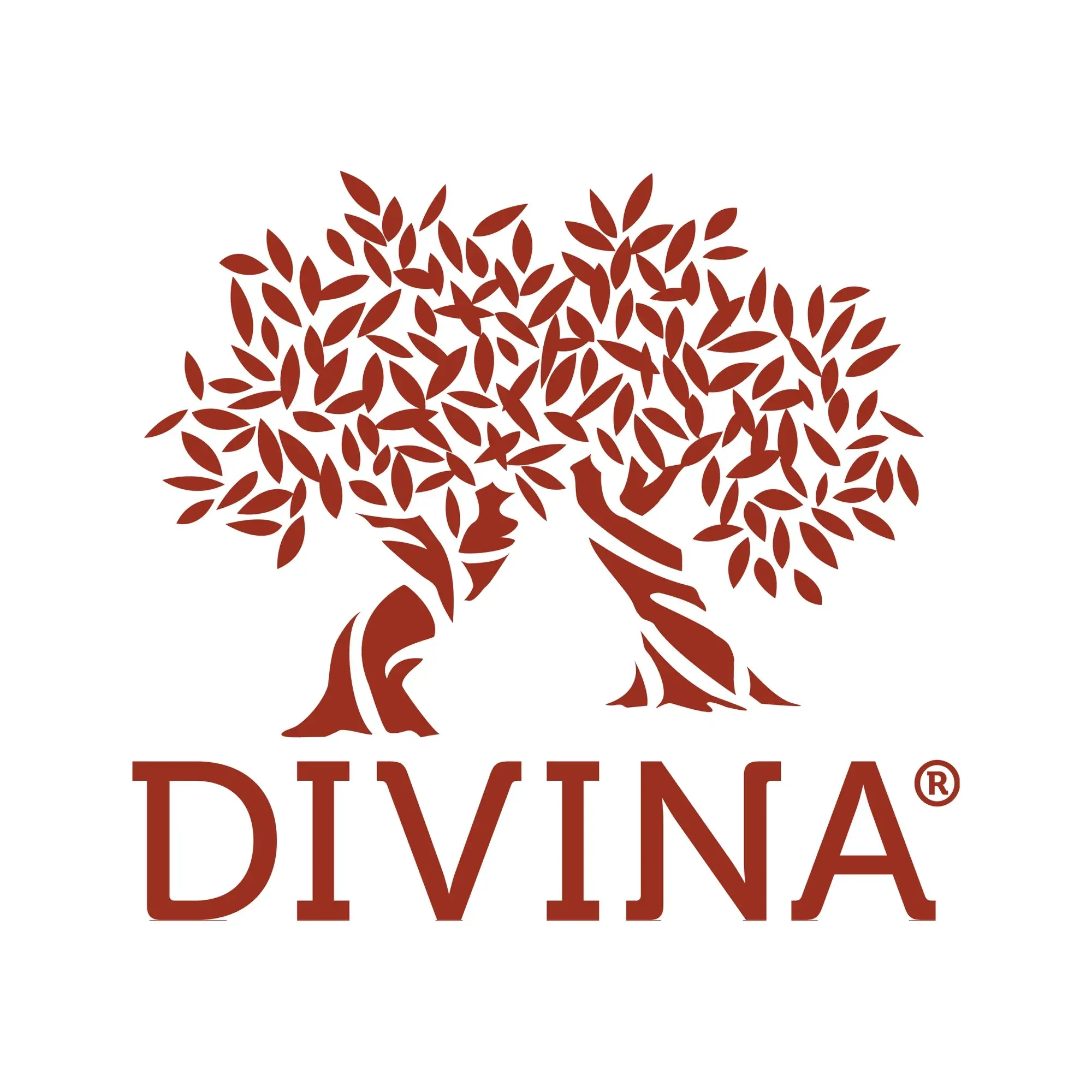 Divina Marketplace Promo Code