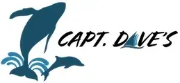 Dolphin Safari Promo Code