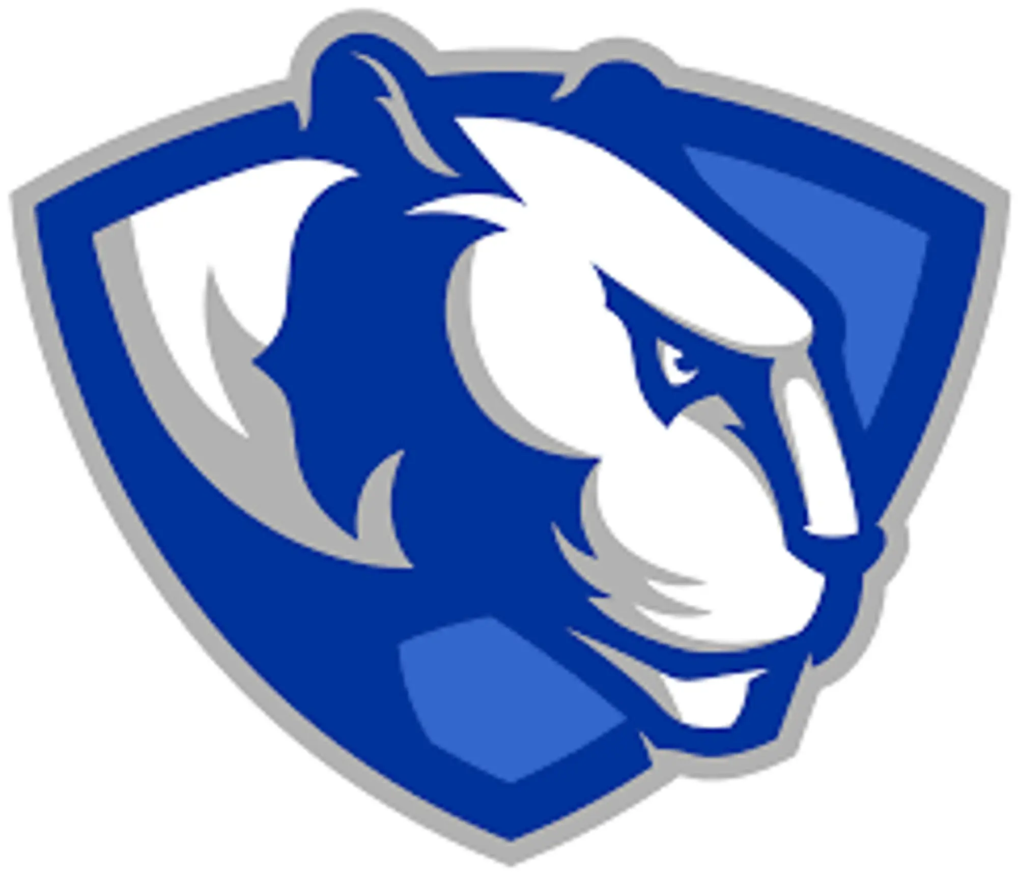 Eastern Illinois Panthers Promo Code