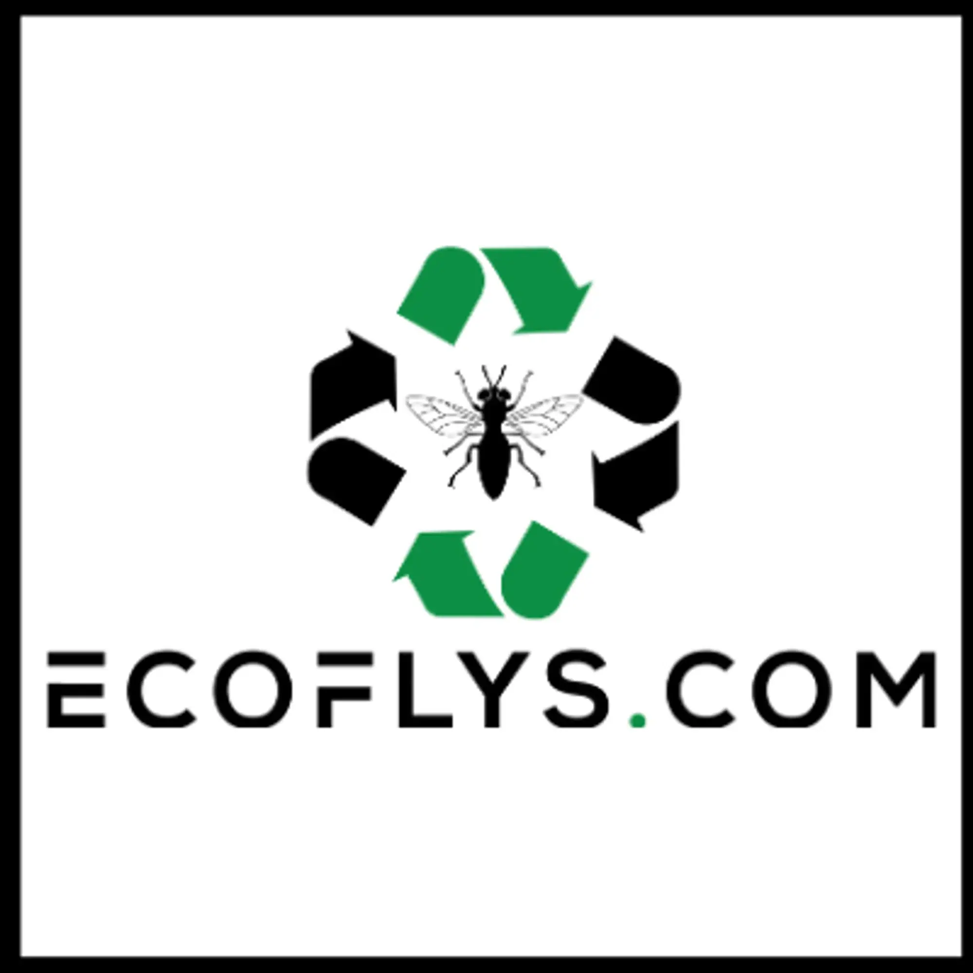 Ecoflys.com Promo Code