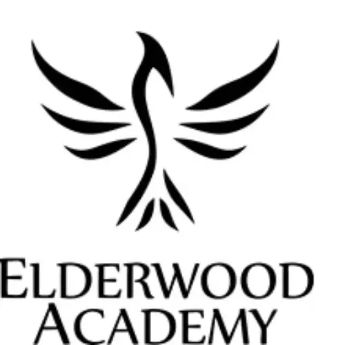 Elderwood Academy Promo Code