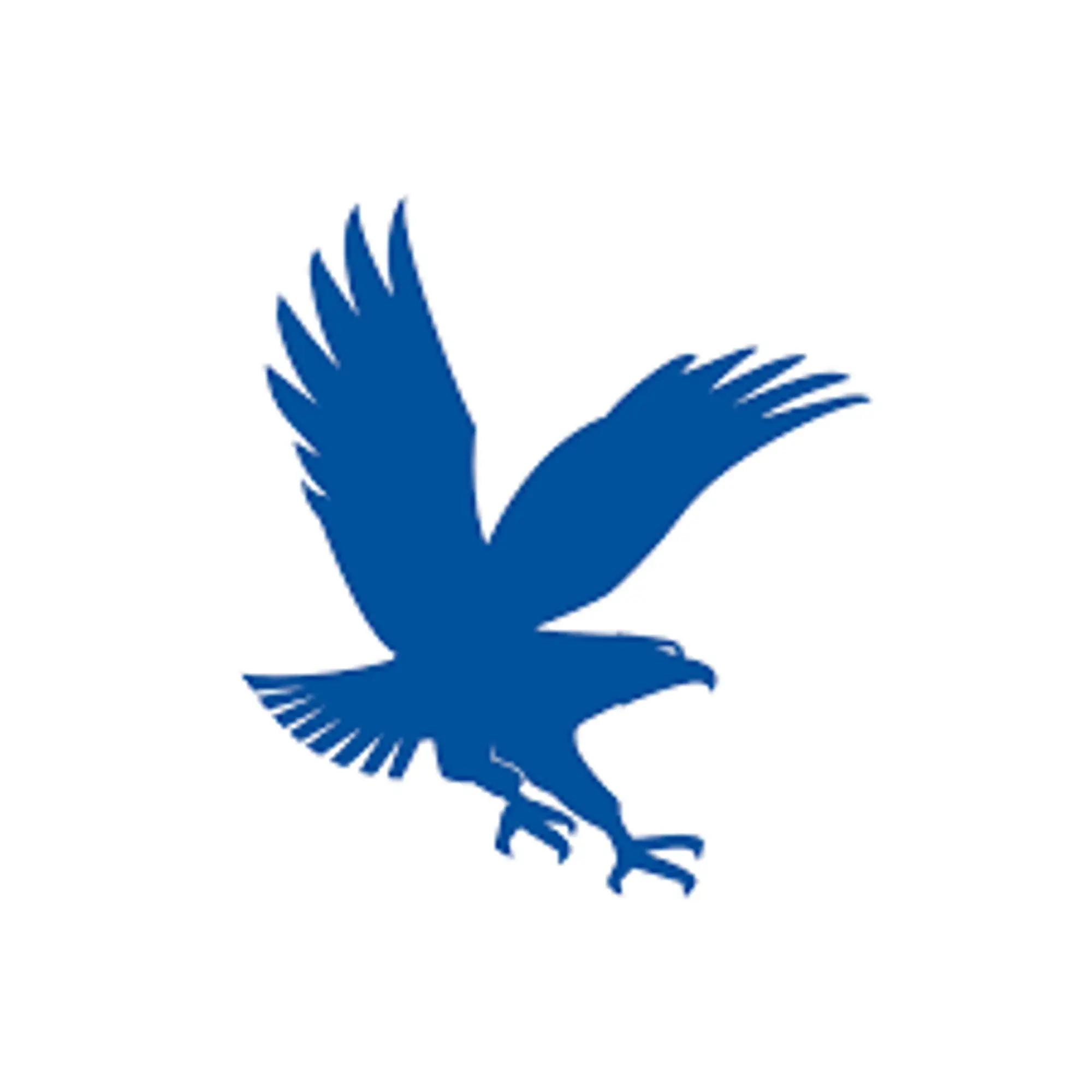 Embry-Riddle Eagles Promo Code