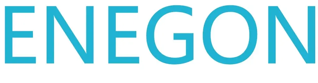 Enegon Electronics Promo Code