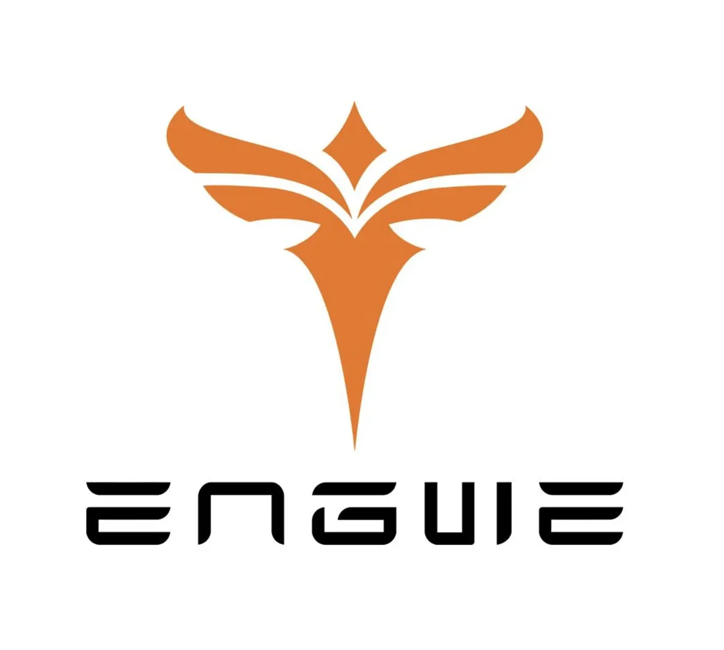 Engwe Bikes UK Promo Code