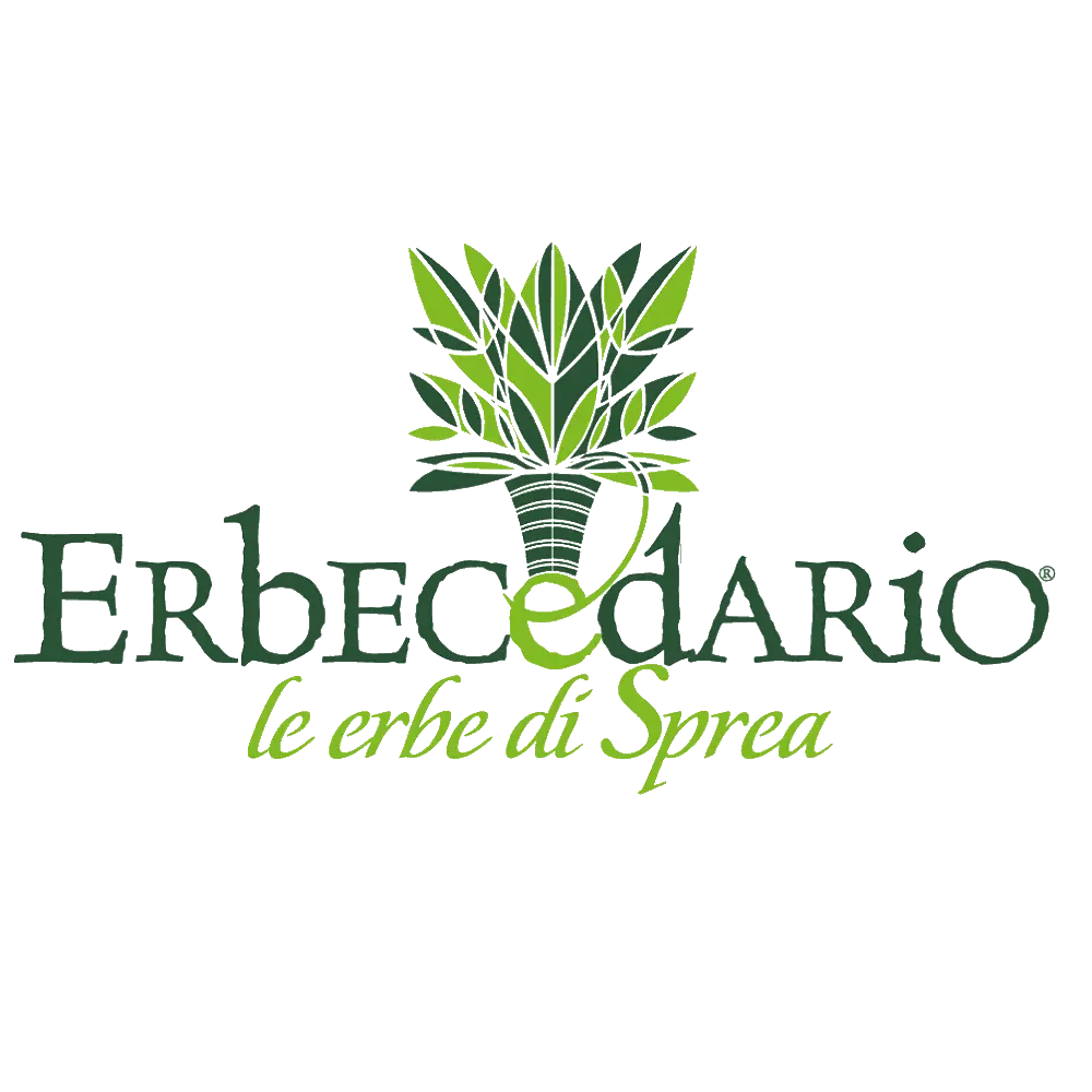 Erbecedario Promo Code