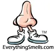 EverythingSmells Promo Code