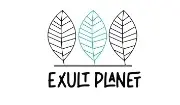Exult Planet Promo Code