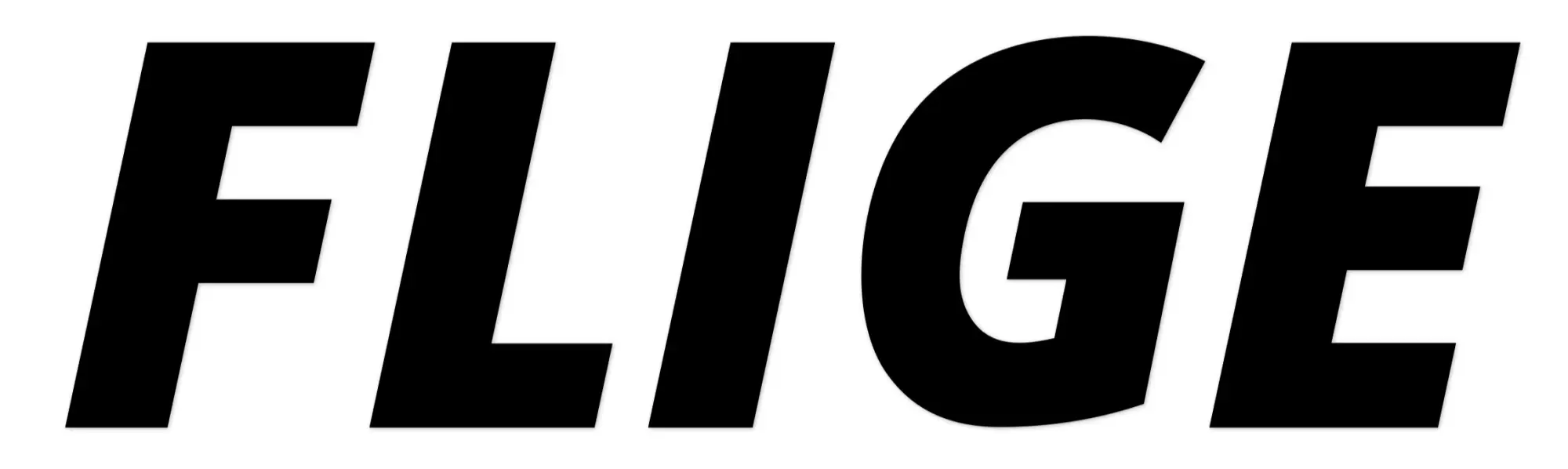 Flige Promo Code