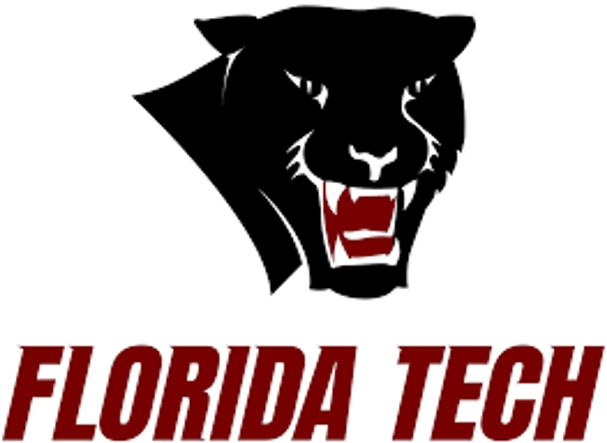 Florida Tech Panthers Promo Code