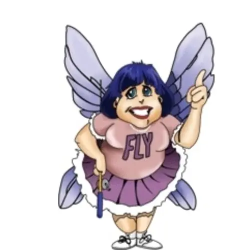 FlyLady Promo Code