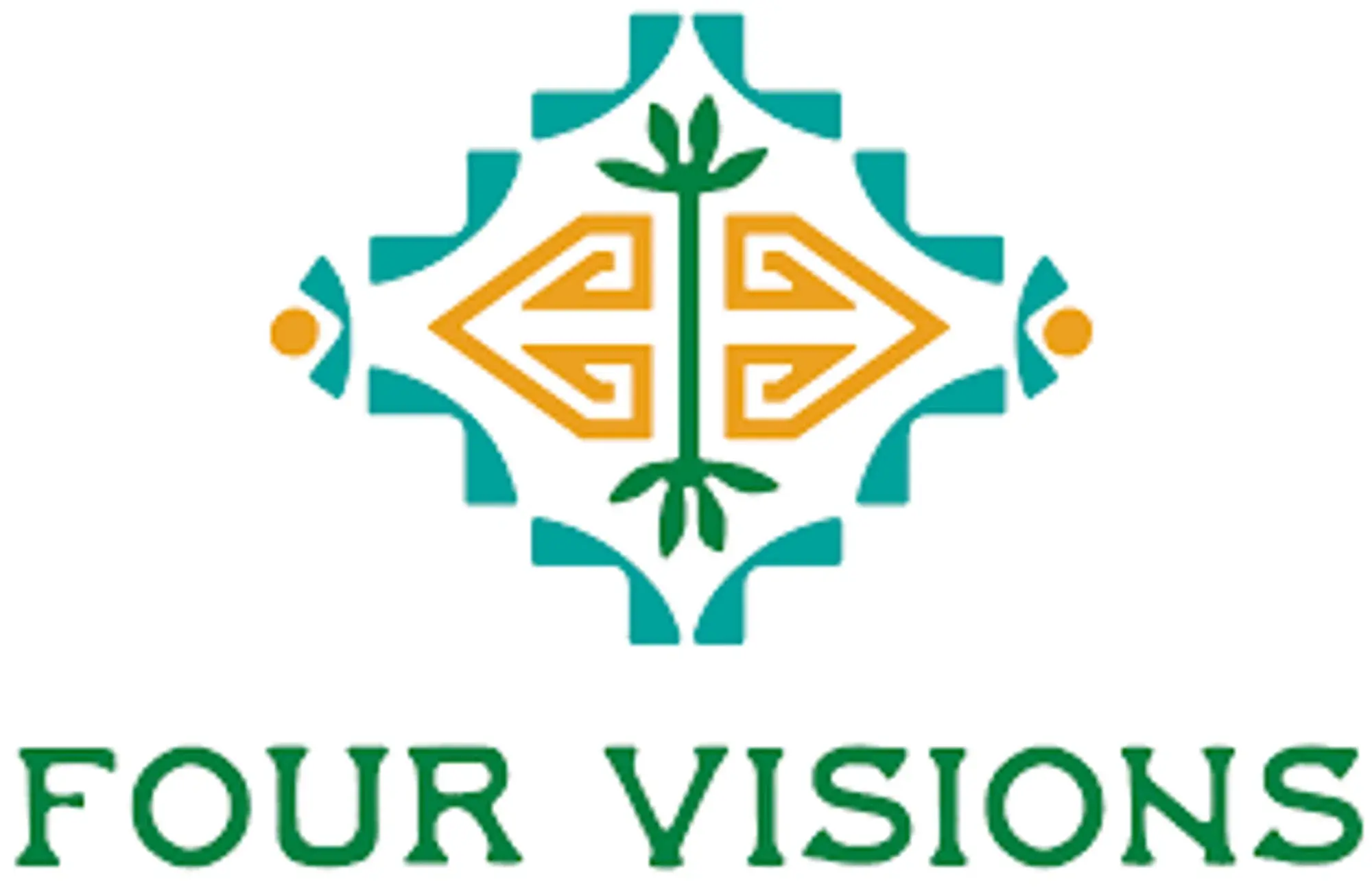 Four Visions Promo Code