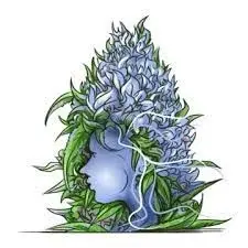 Frosty Gardens Promo Code