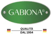 Gabiona IT Promo Code
