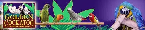 Golden Cockatoo Promo Code