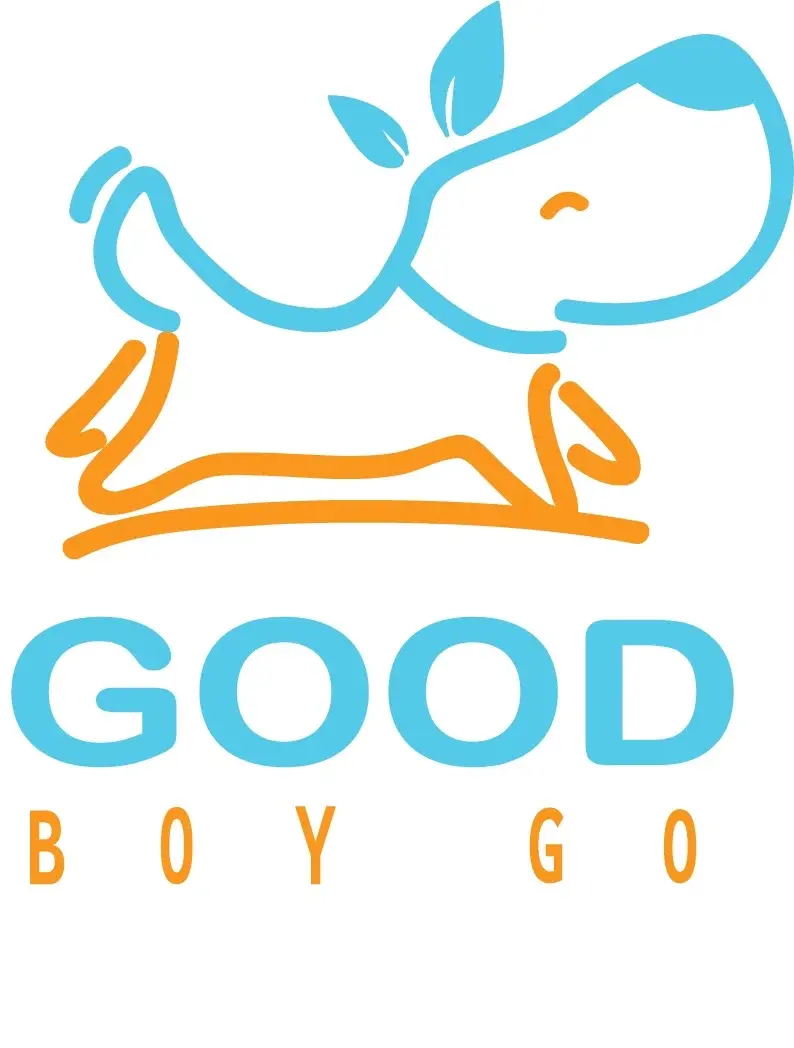 GoodBoyGo Promo Code