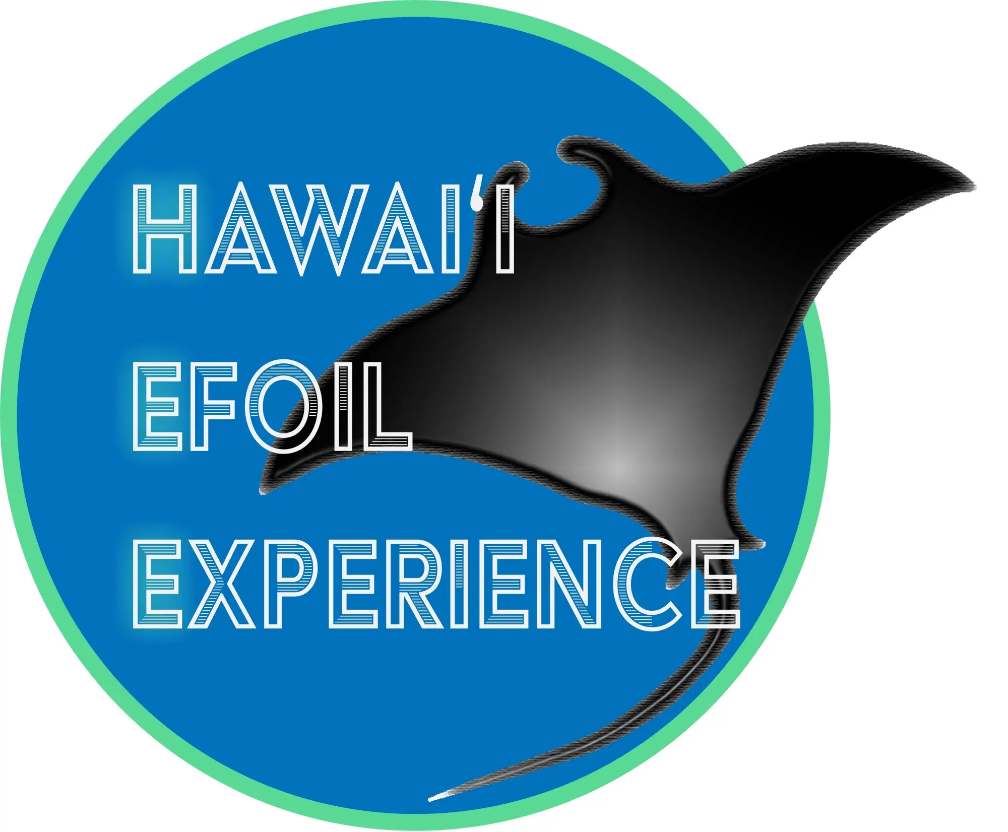 Hawaii Efoil Experience Promo Code