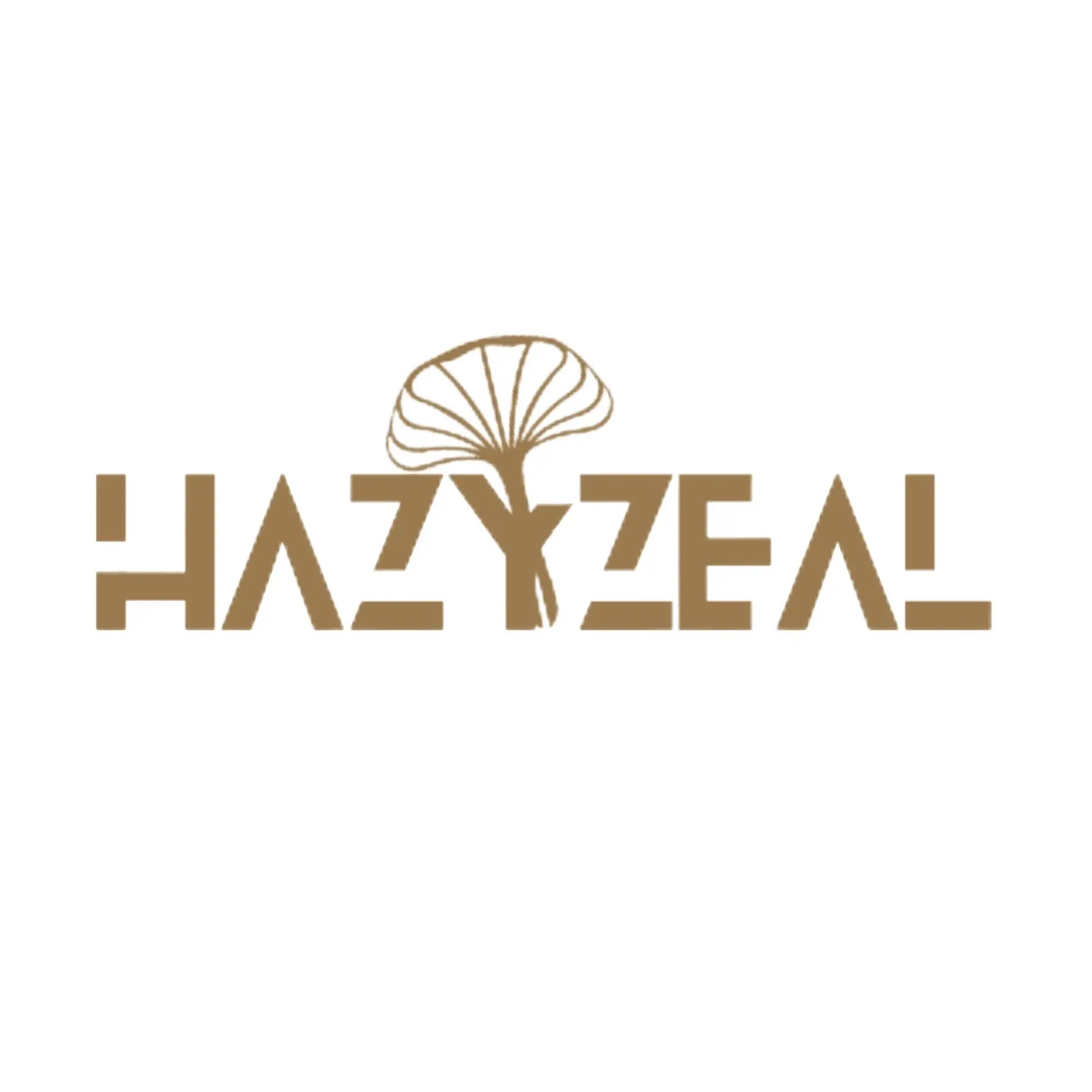 Hazyzeal Promo Code