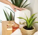 Hyku Home  Inc Promo Code