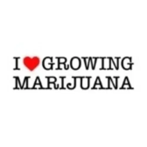 ILGM Promo Code