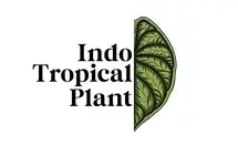 Indo Tropical Plant Promo Code