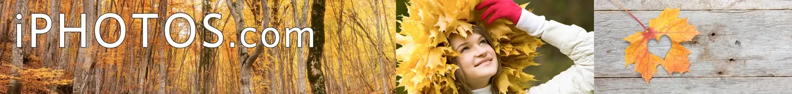 Vital Imagery - iPHOTOS.com Promo Code