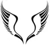 Iron Angels Fashion Promo Code